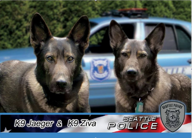 Twin Officers Collar Suspects After Dogged Pursuits