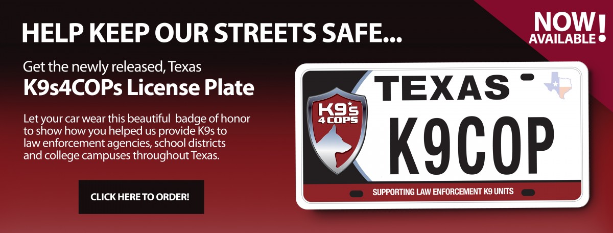 K(-LicencePlateBanner